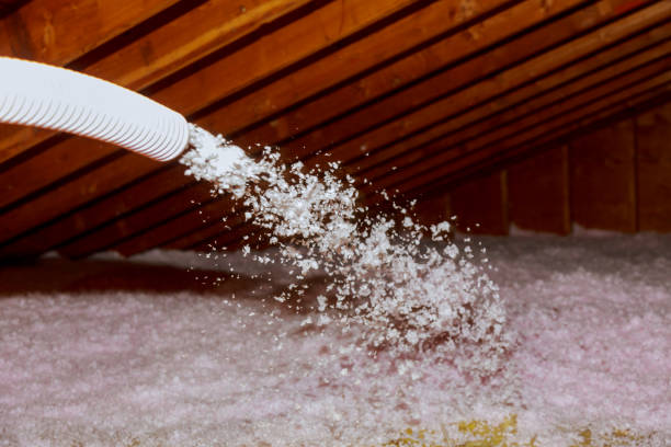 Professional Insulation Contractor in Avoca, IA