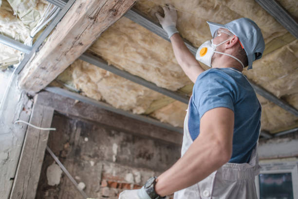 Best Insulation Maintenance and Repair in Avoca, IA